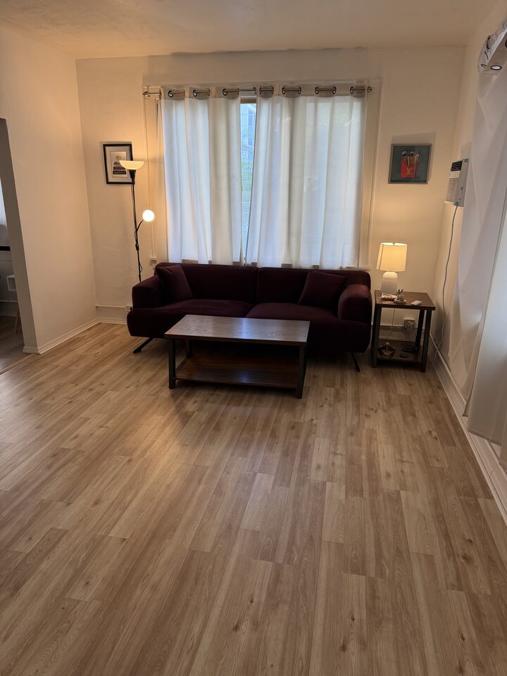 Living room with wood-look plank flooring and bright window