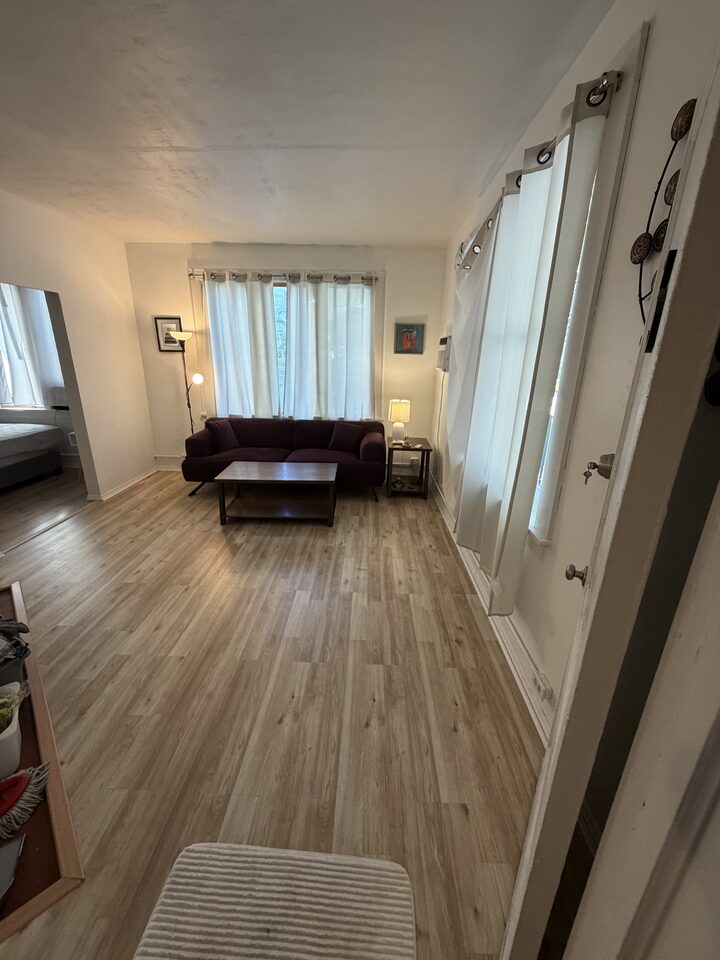 Living room seen from the entry hall, with a sofa beneath a curtained window and wood-look plank flooring