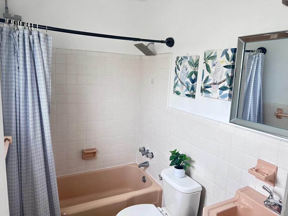 Bathroom with a tub and shower, vanity mirror and botanical prints