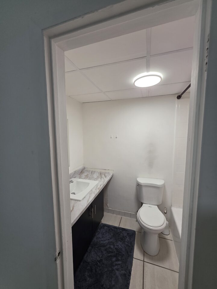 Bathroom seen from the doorway, with a vanity, a toilet and a tub with shower