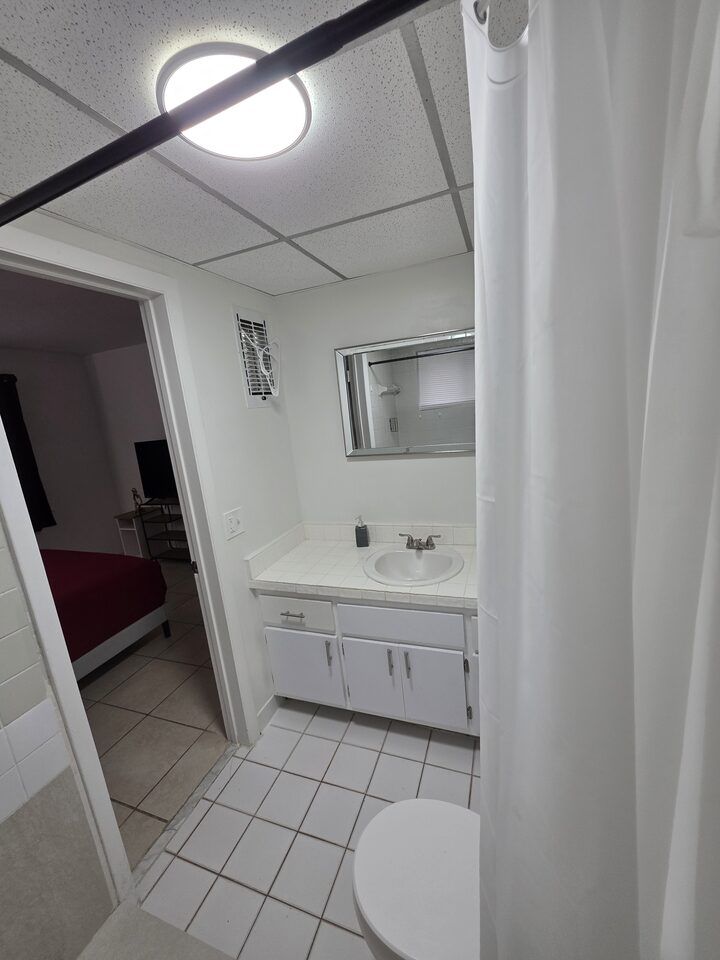 Bathroom with a vanity, a mirror and a toilet, with the bedroom beyond the doorway