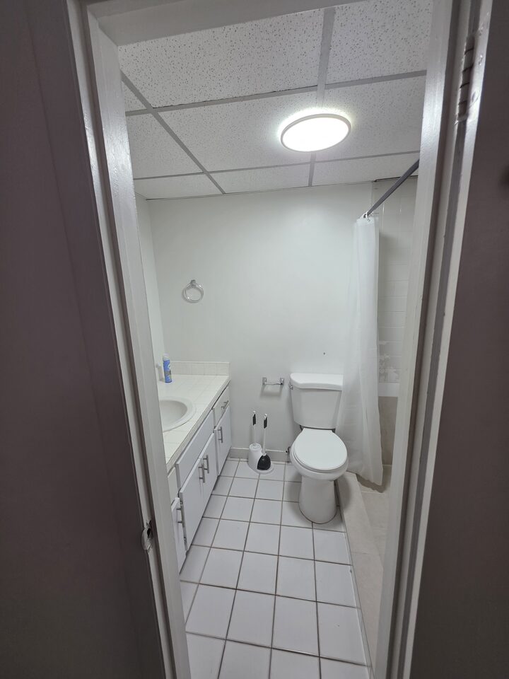 Bathroom seen from the doorway, with the vanity, the toilet and the tub behind a shower curtain