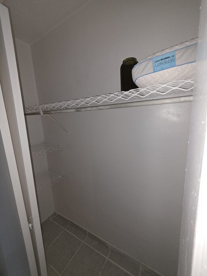 Closet with wire shelving