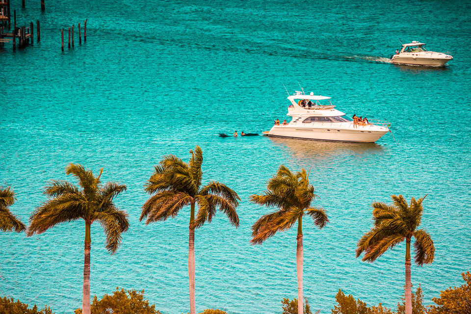 Boats cruising through turquoise water past palm trees