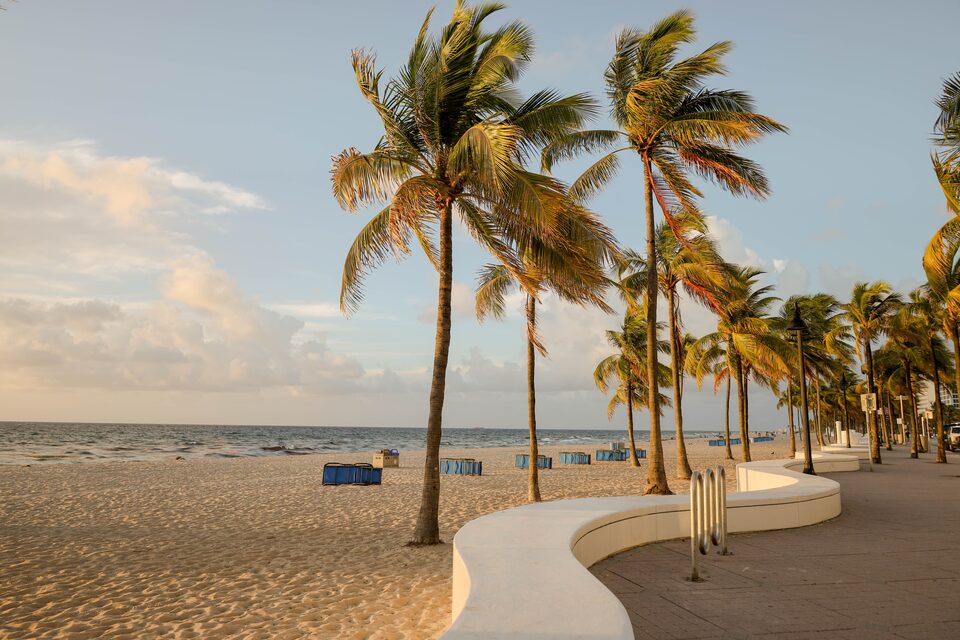 Fort Lauderdale beach in the morning, with palm trees along the promenade and the curved white sea wall